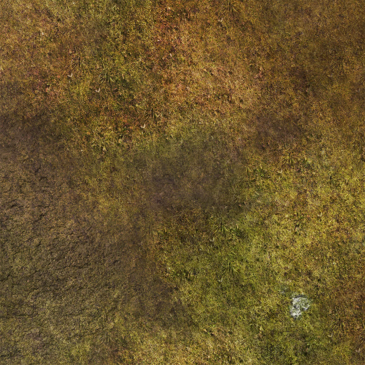 FLG Mats: Tundra 1 - Image 12