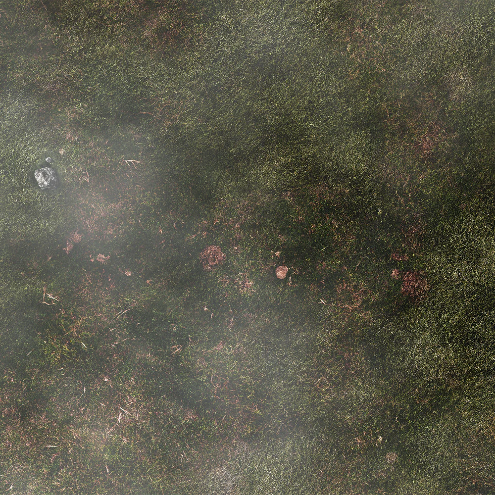 FLG Mats: Misty Meadow - Image 2