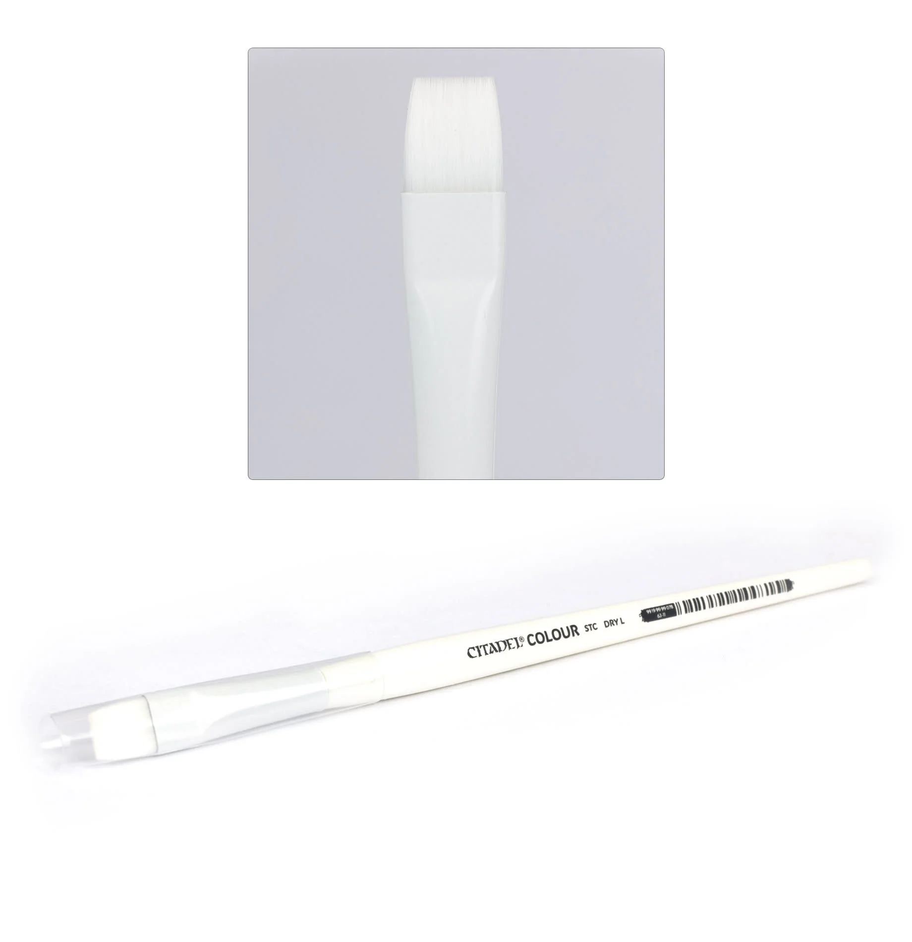 Citadel: Dry Brush (Large)