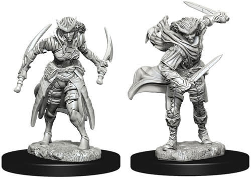 D&D Minis: Nolzur`s Marvelous Unpainted Miniatures, W7 Tiefling Female Rogue
