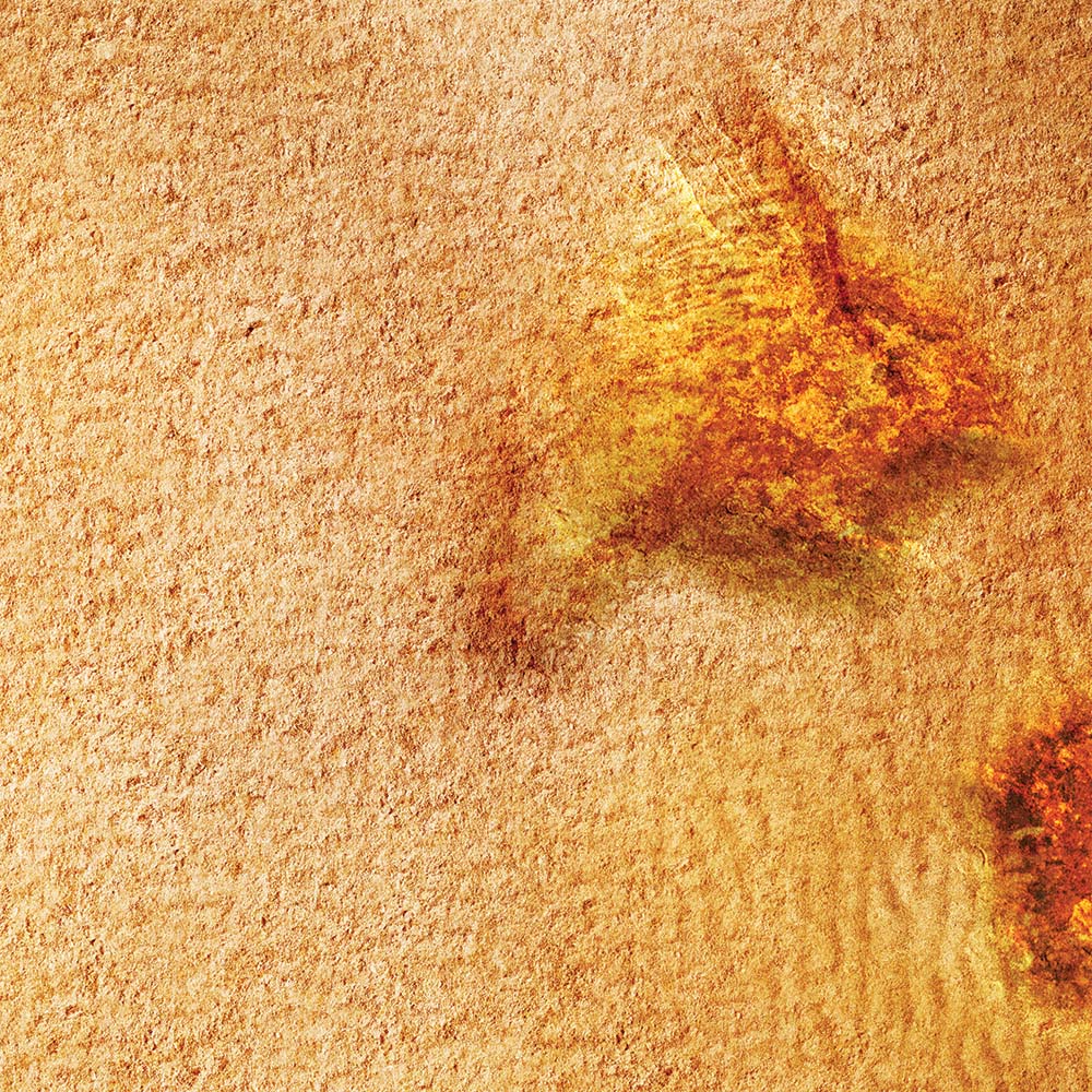 FLG Mats: Arid Desert - Image 13