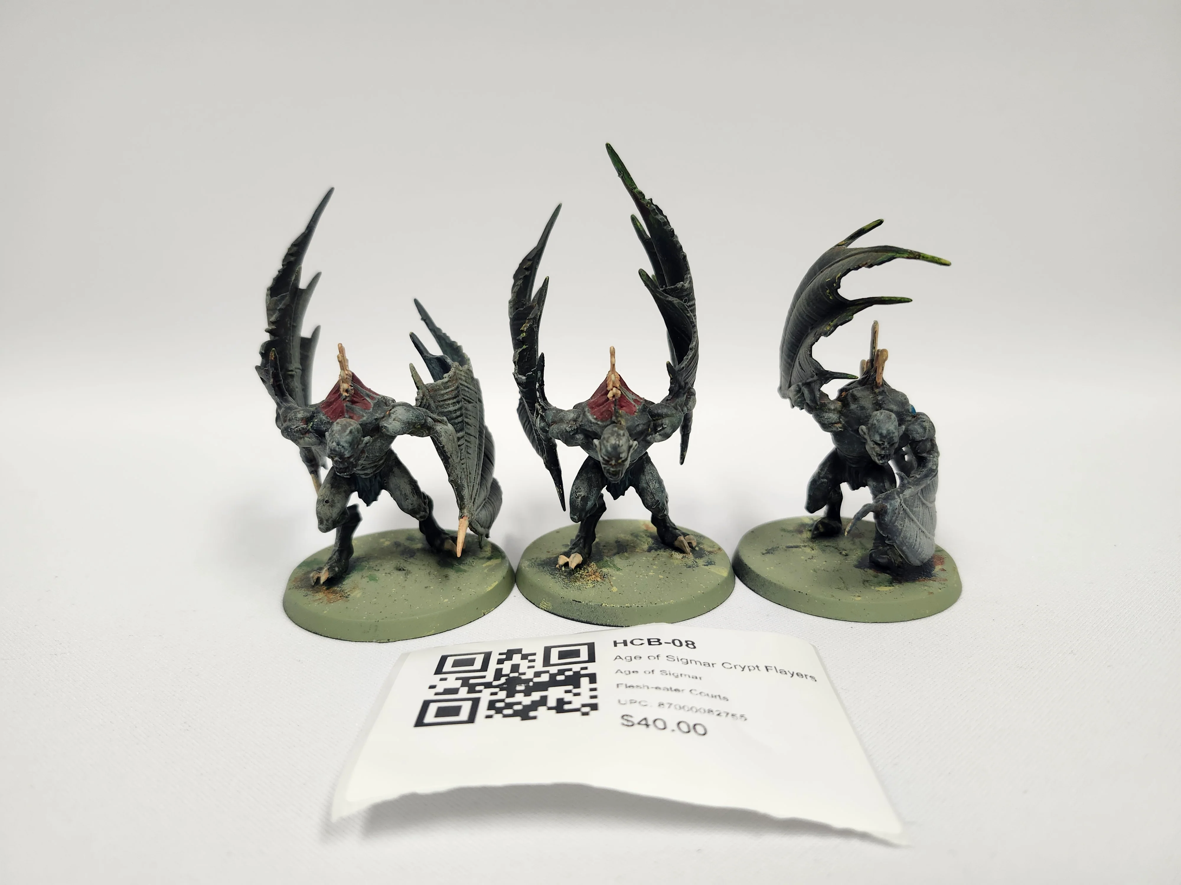 Age of Sigmar Crypt Flayers HCB-08