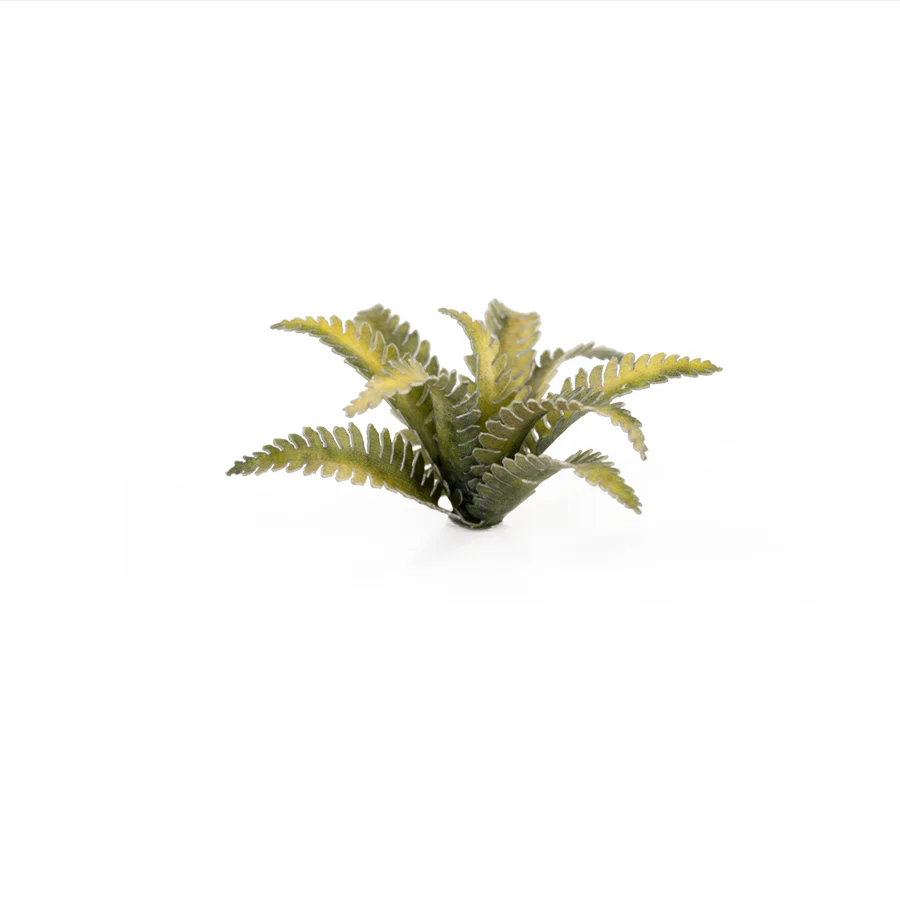Gamers Grass: Laser Plants - Deer Fern - Image 6