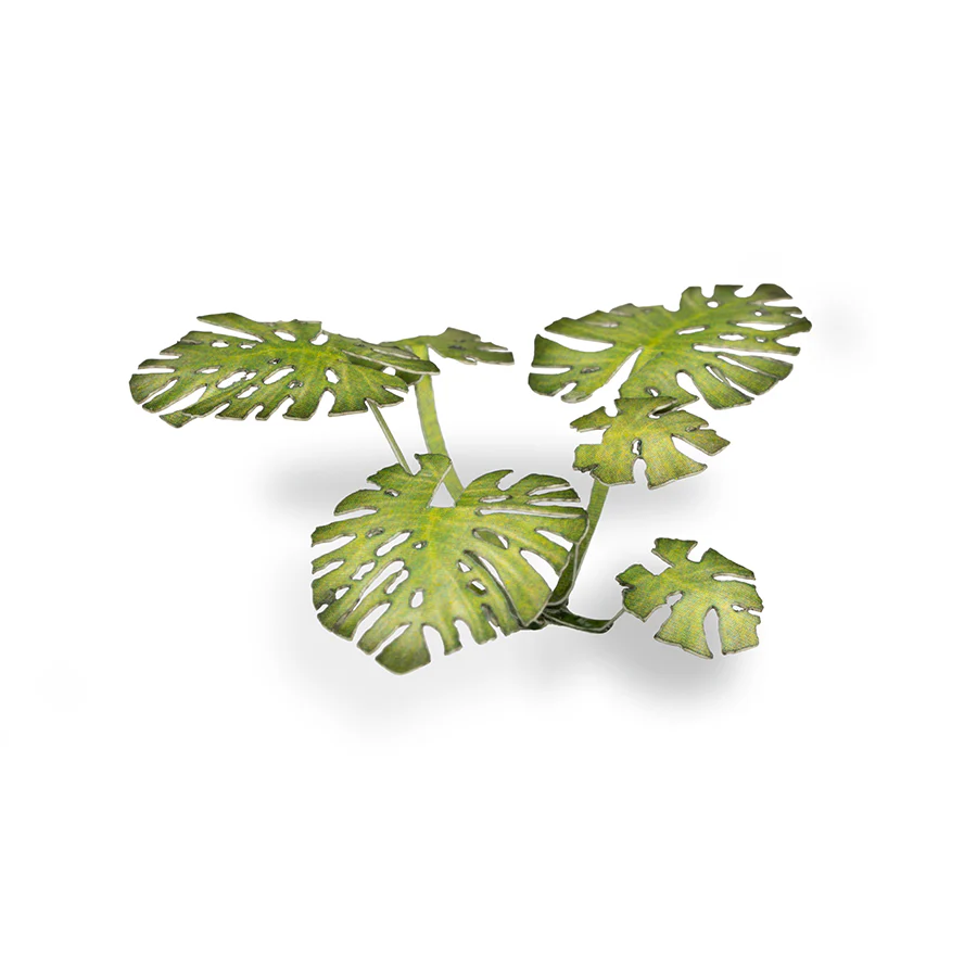 Gamers Grass: Laser Plants - Monstera - Image 4
