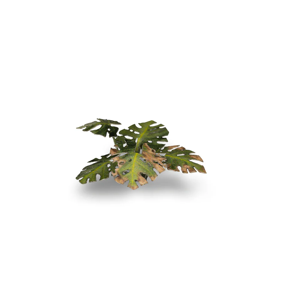 Gamers Grass: Laser Plants - Monstera - Image 7