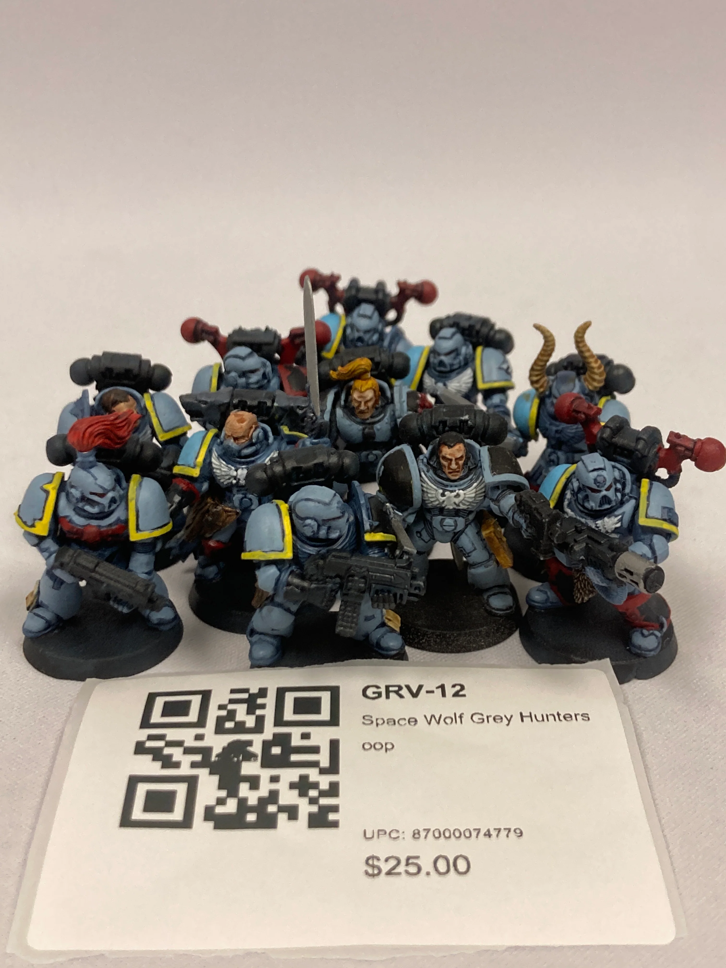 Space Wolf Grey Hunters oop GRV-12