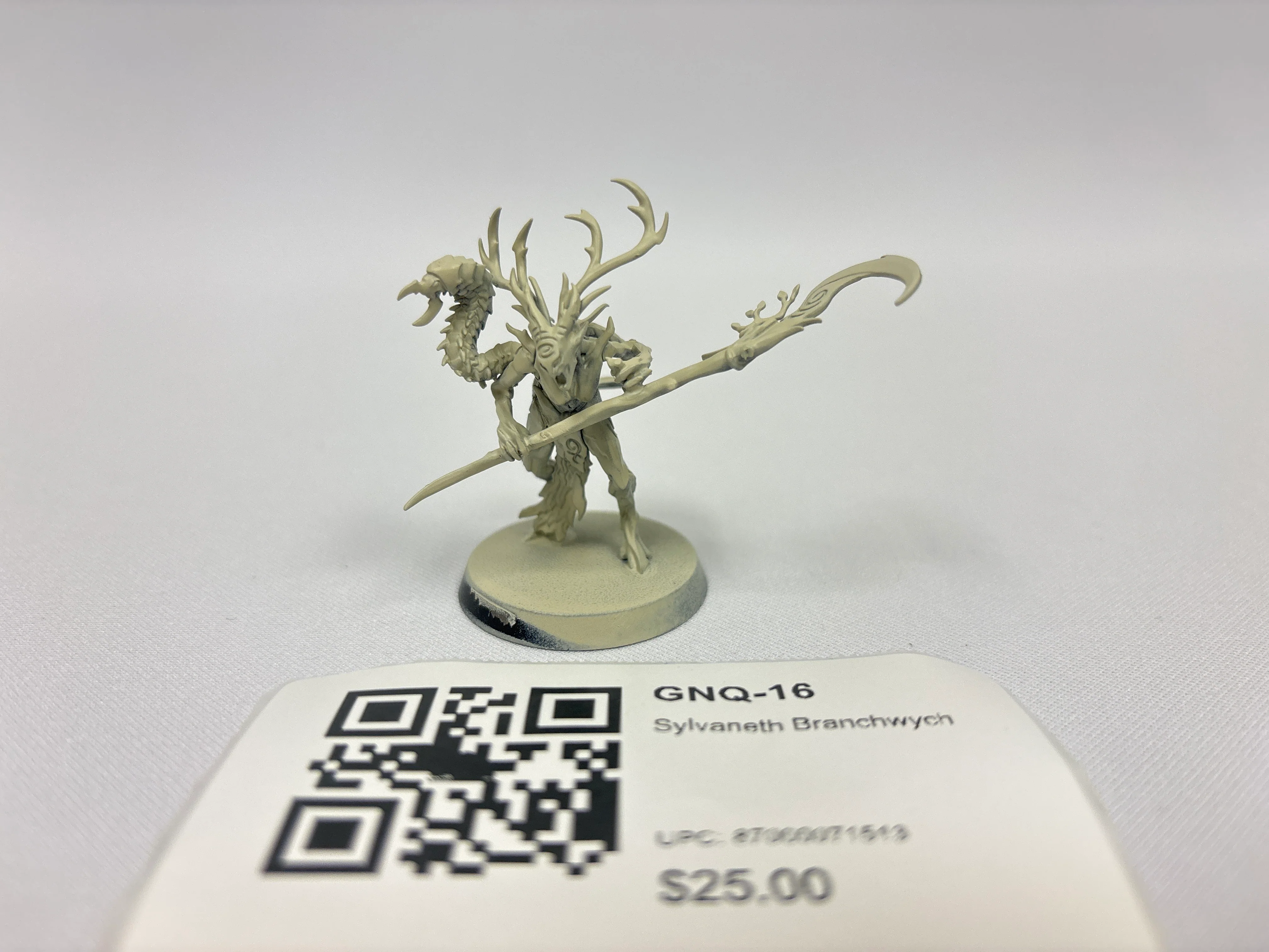 Sylvaneth Branchwych GNQ-16